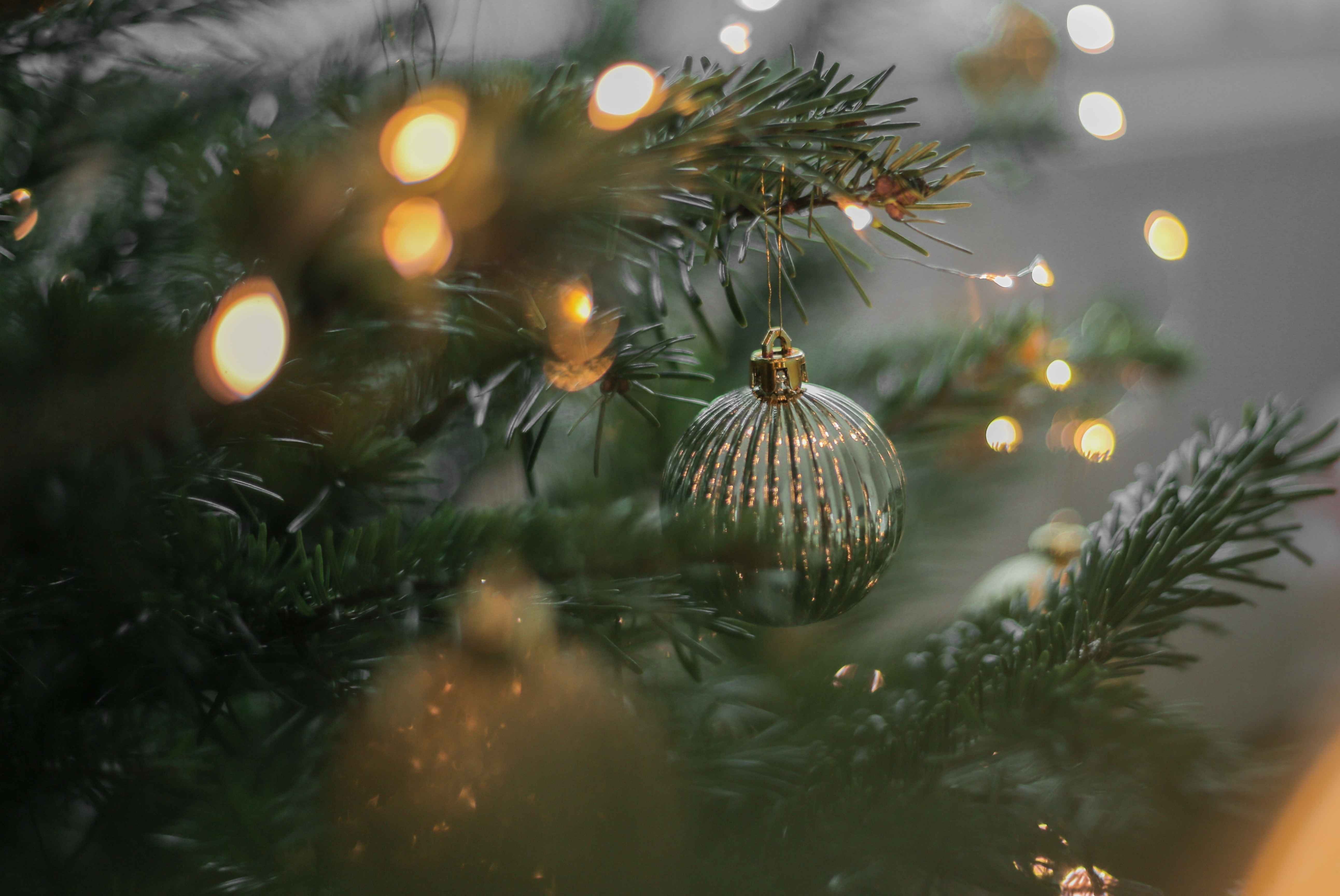 Noël en tribu