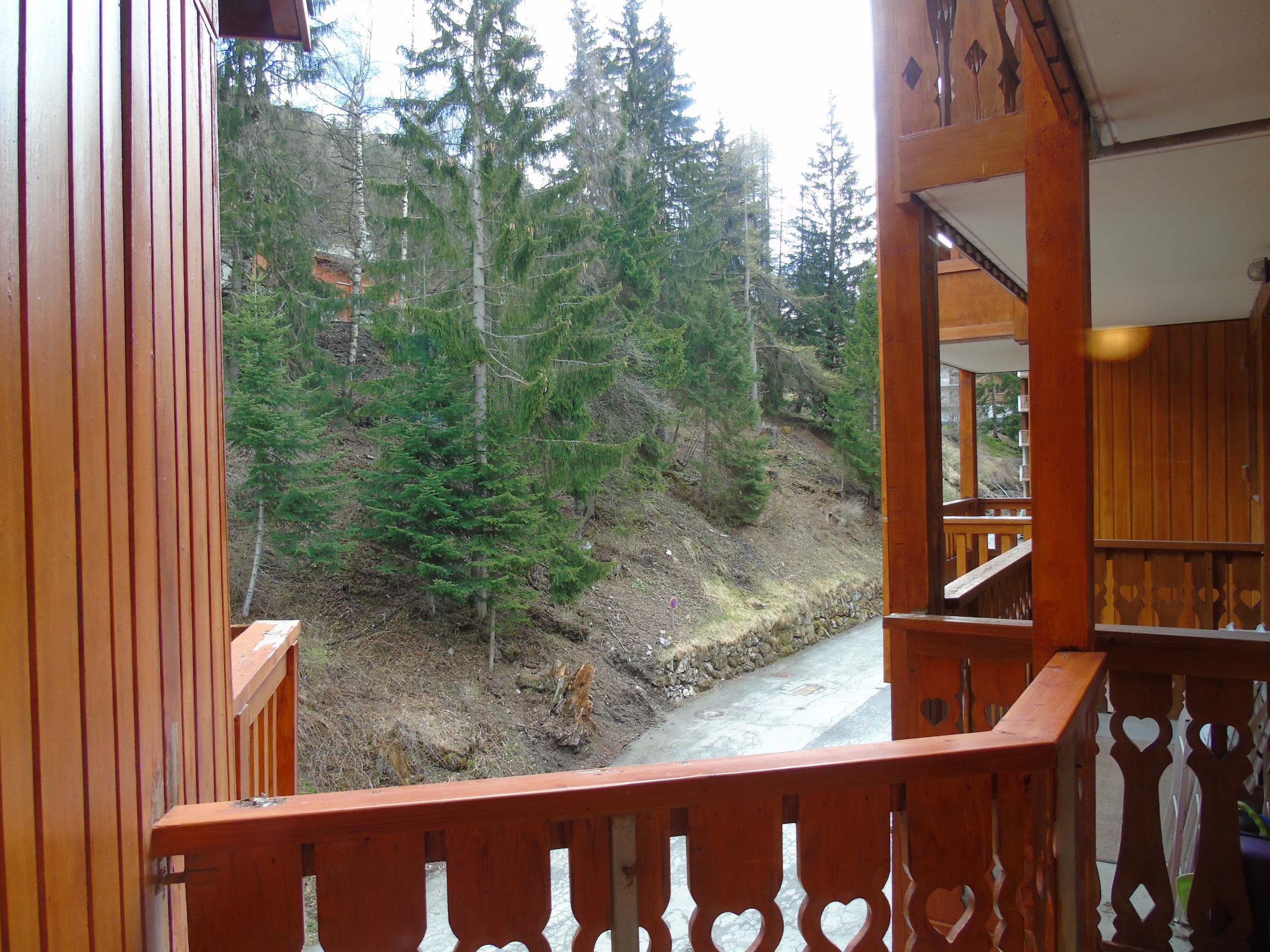 Melezets 1 lot:60010