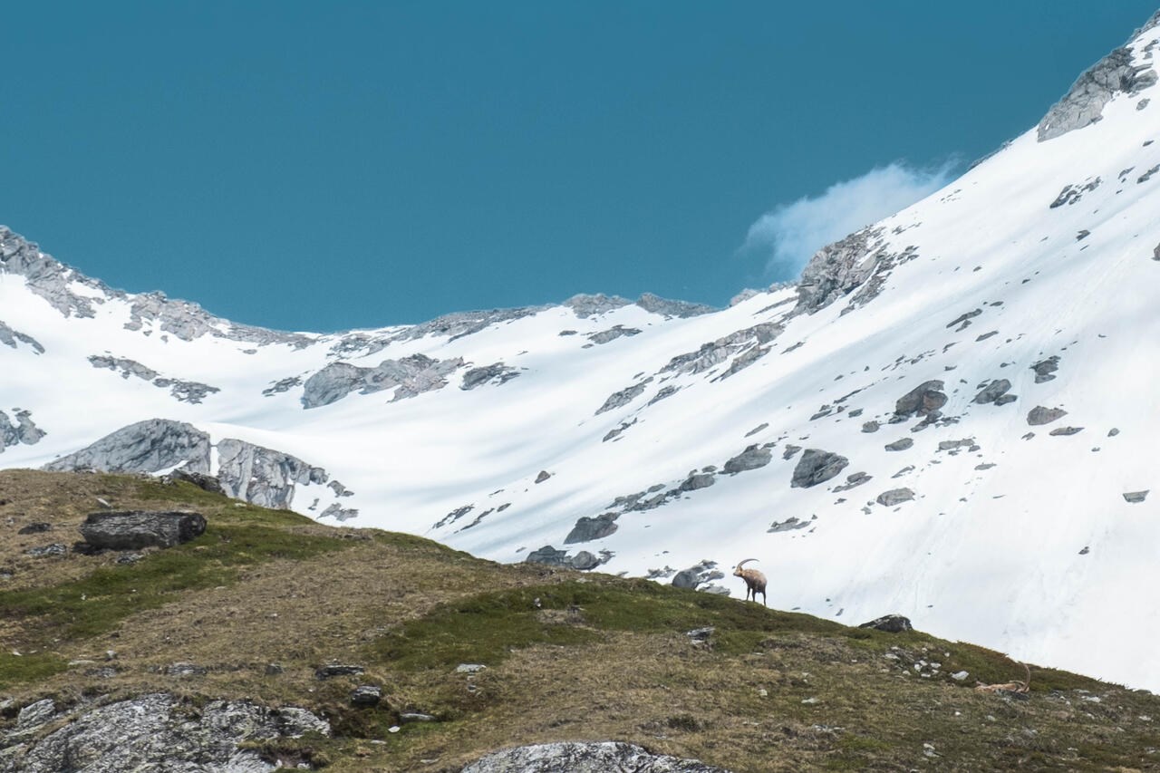 Escapade en Vanoise : Mini-trek en itinérance au cœur du Parc National
