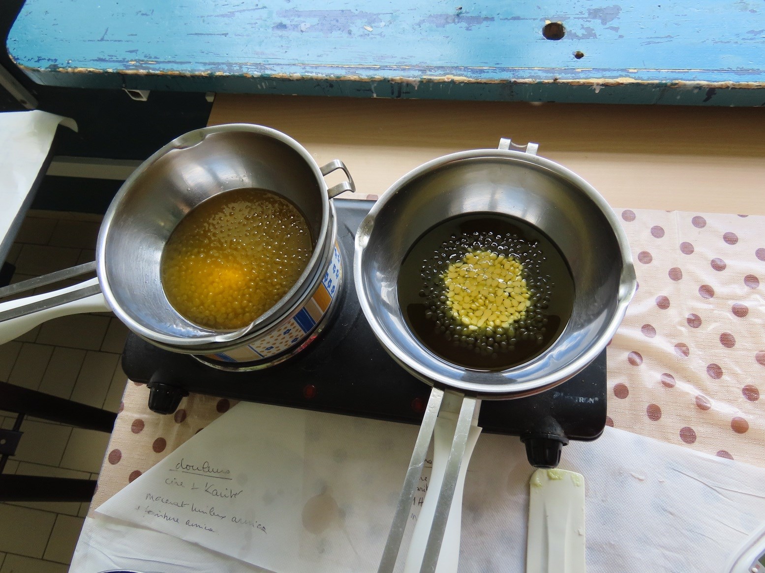 Ethnobotanique - Plantes sauvages, savoirs ancestraux et randonnée