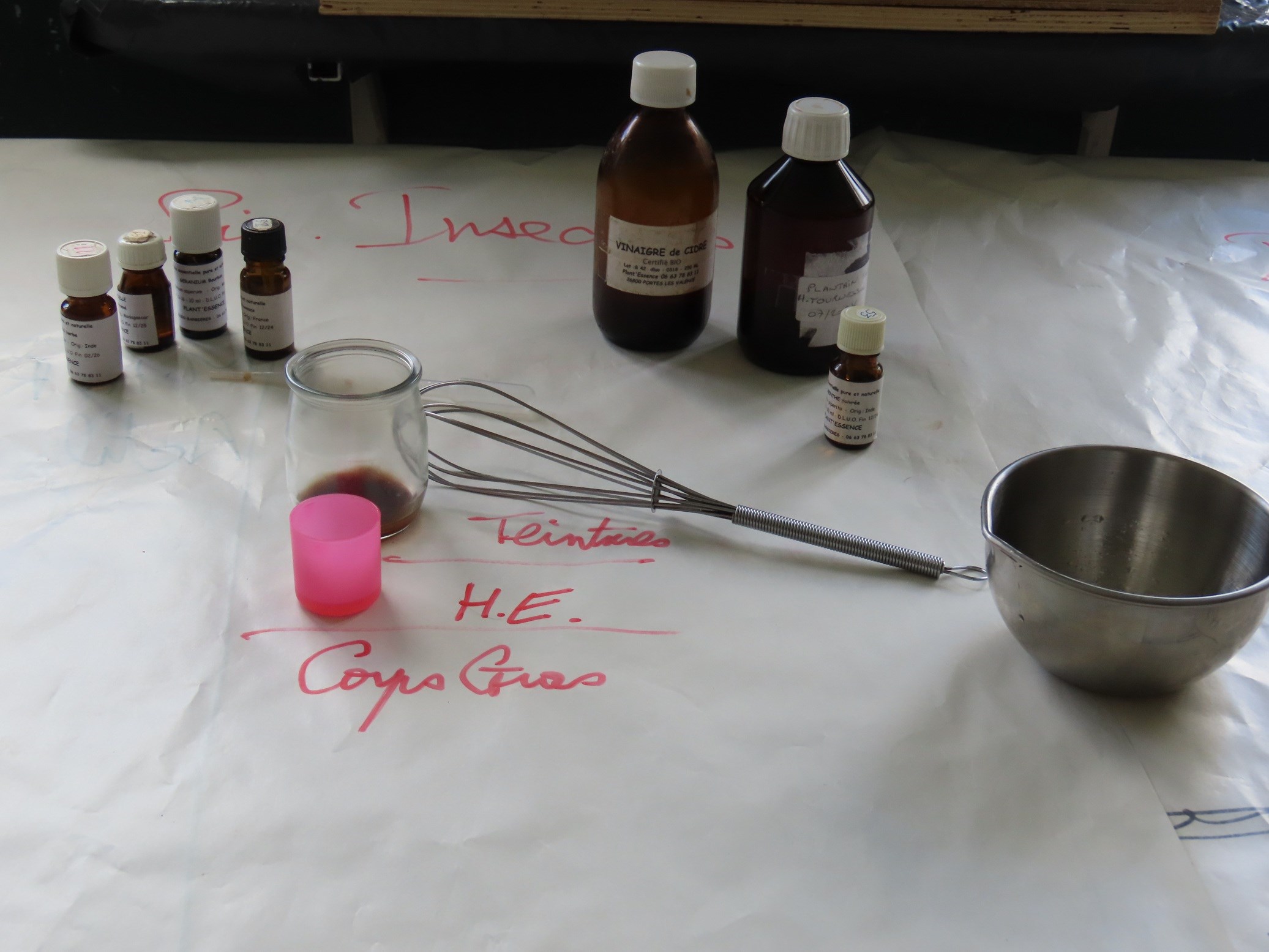 Ethnobotanique - Plantes sauvages, savoirs ancestraux et randonnée