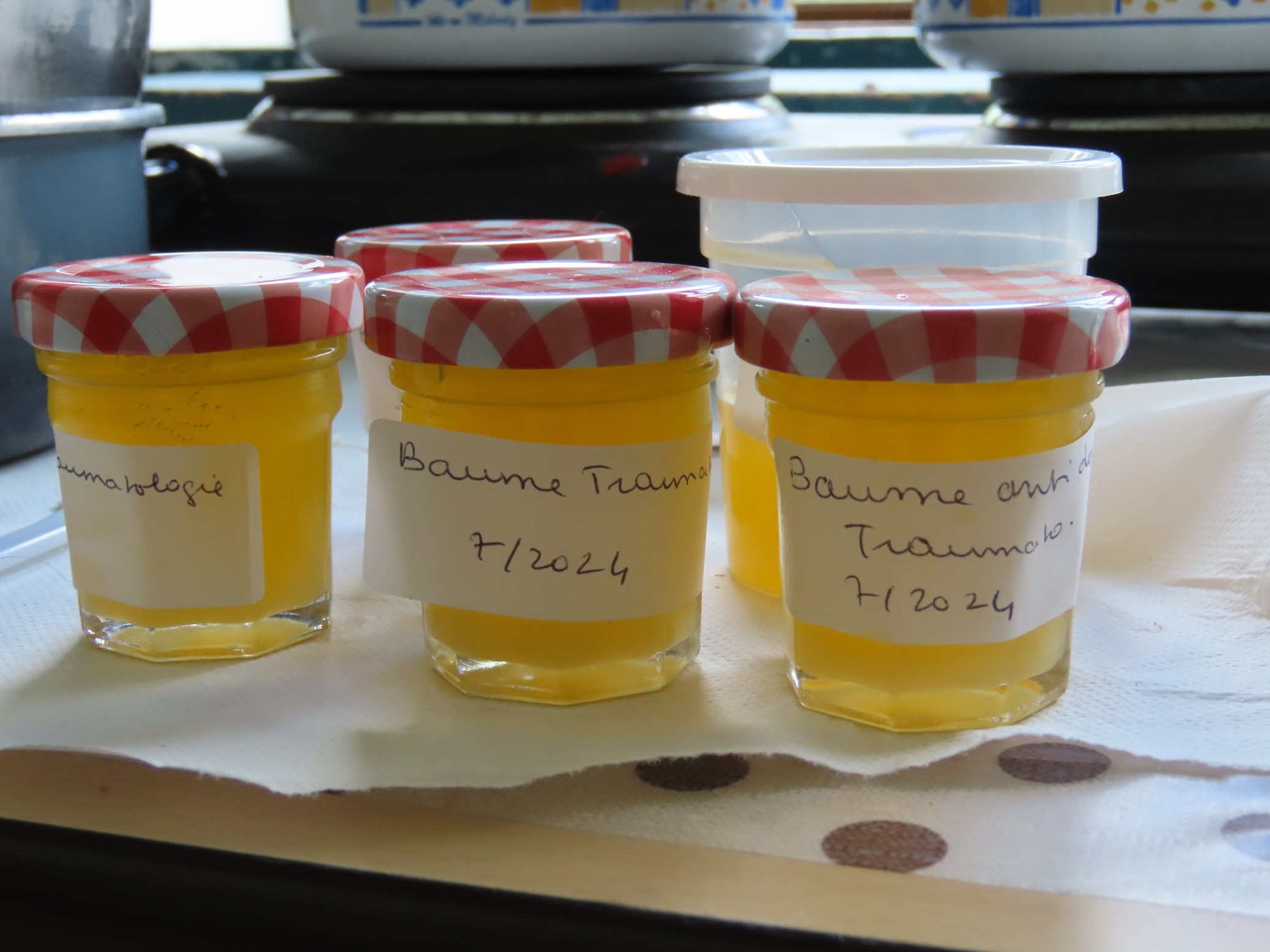 Ethnobotanique - Plantes sauvages, savoirs ancestraux et randonnée