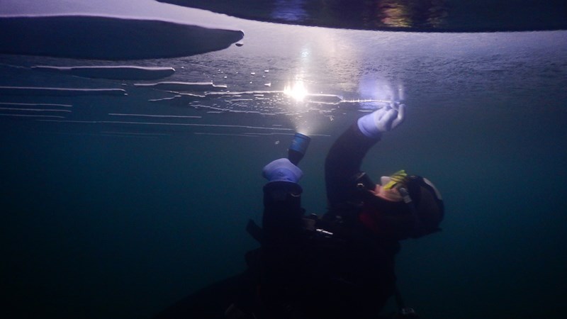 Baptême plongée sous glace de nuit
