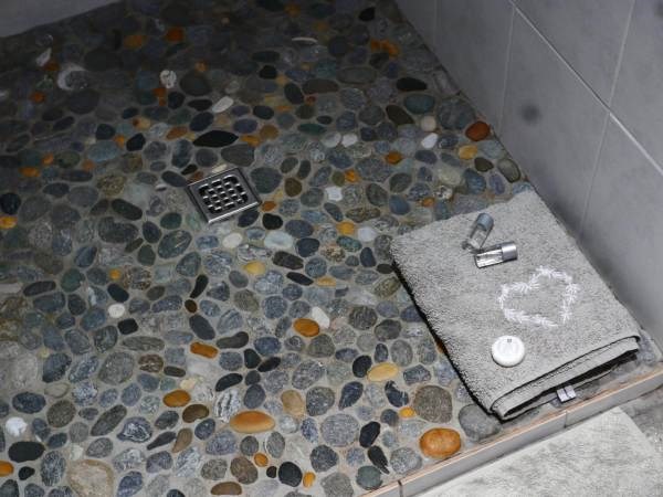 Chambres d'hôtes Gîtes de France N°73G40600 (CHEZ MAMIE ANNA)