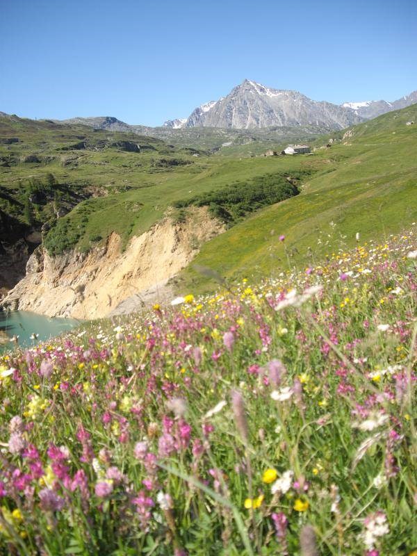 Gîtes de France N°73G143550 (DU LAC DU MONT CENIS)