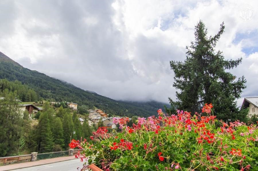 Gîtes de France N°73G144106 (LES GLACIERS)