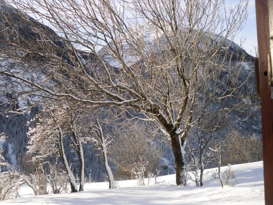 Gîtes de France N°73G223113 (AMEDEELYS)