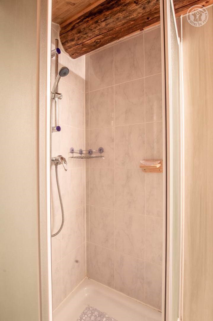 Gîtes de France N°73G223116 (LA DAILLE)