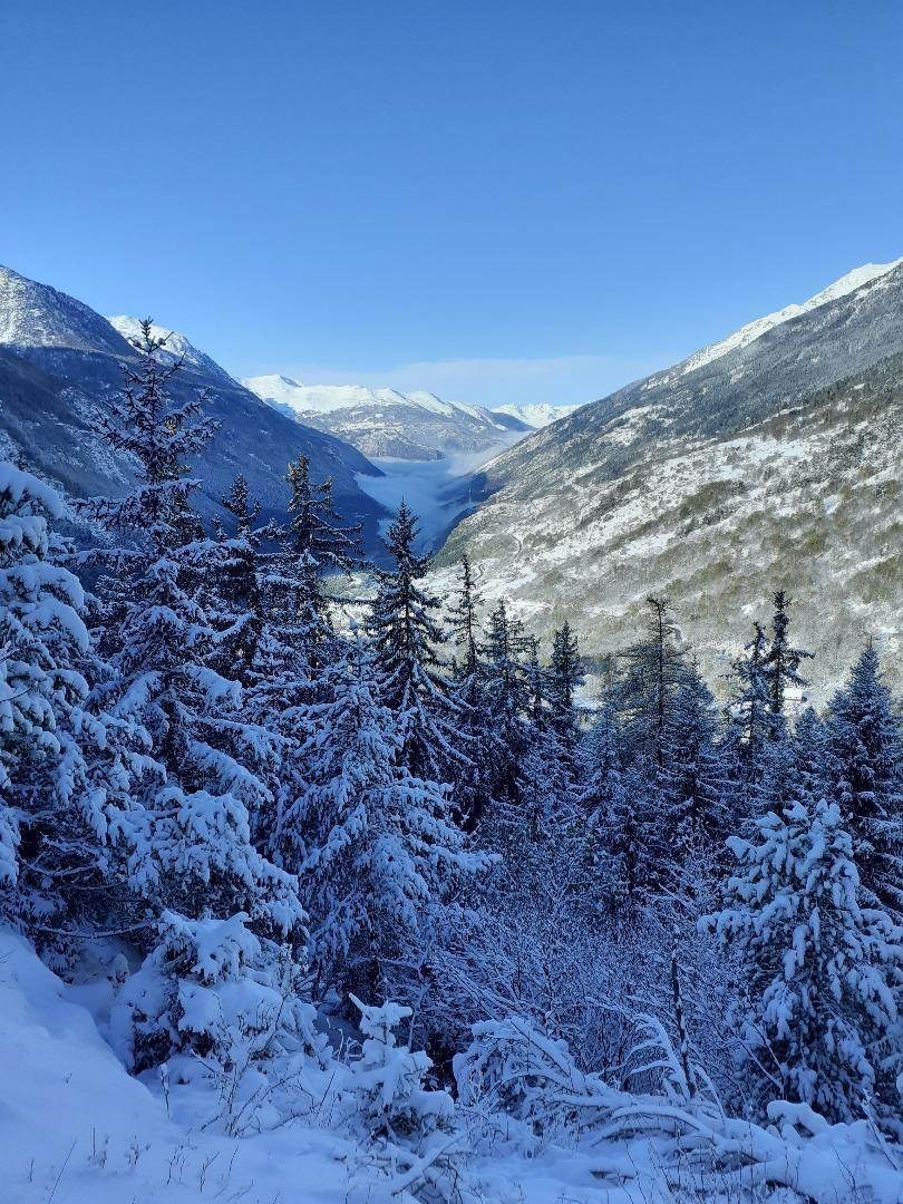 Gîtes de France N°73G223122 (LE CHALET DE LA PERRIERE)