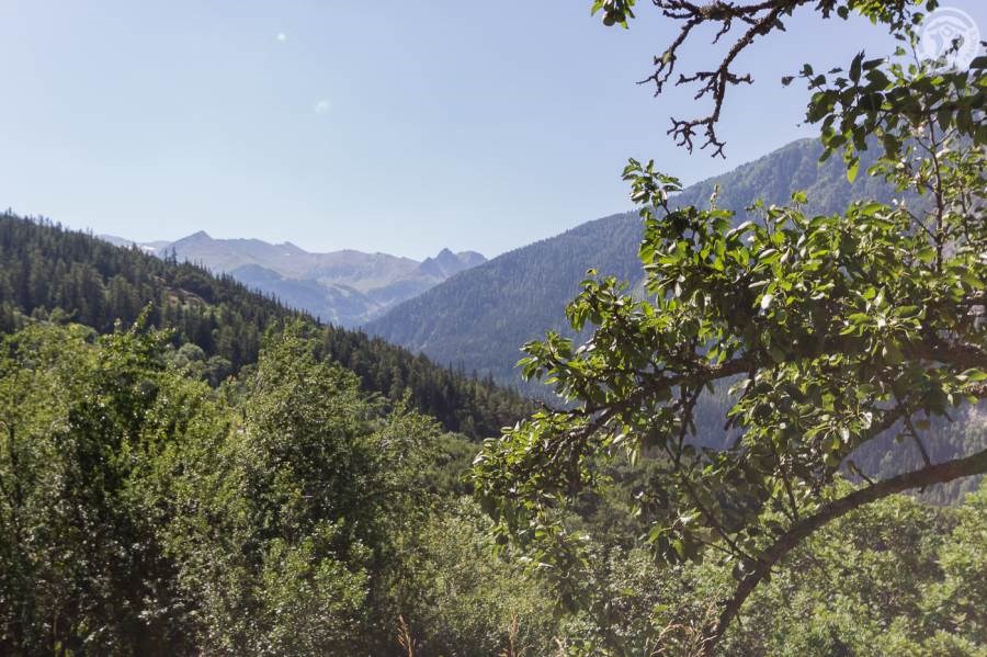 Gîtes de France N°73G223125 (LE CHALET DE MANELOU)