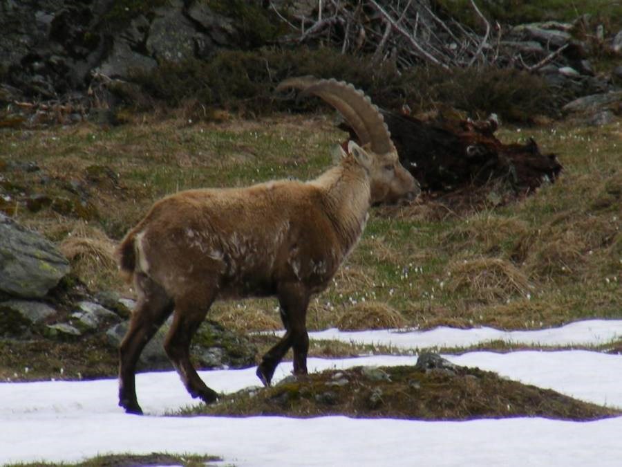 Gîtes de France N°73G23115 (LE BARBIER)