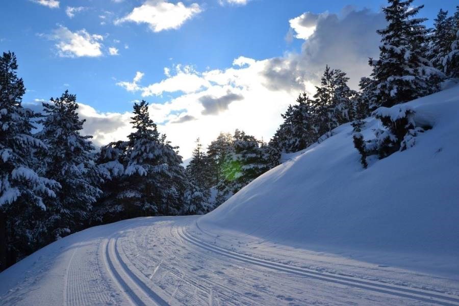 Gîtes de France N°73G23123