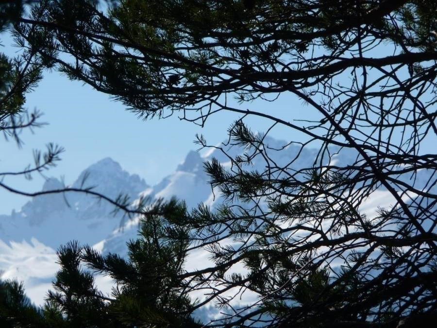 Gîtes de France N°73G23123