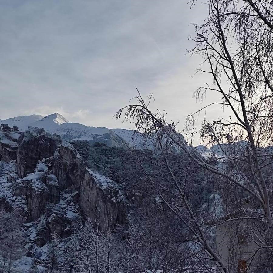 Gîtes de France N°73G23174 (SOLDANELLE)