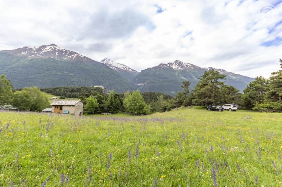 Gîtes de France N°73G23555 (LE CHALET DE LEO)