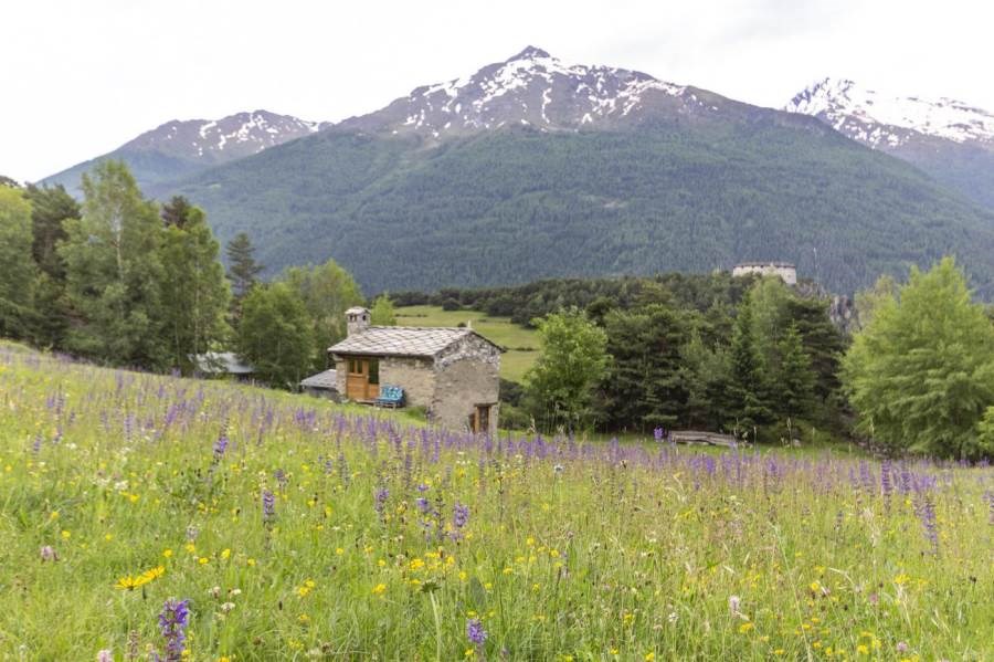 Gîtes de France N°73G23555 (LE CHALET DE LEO)
