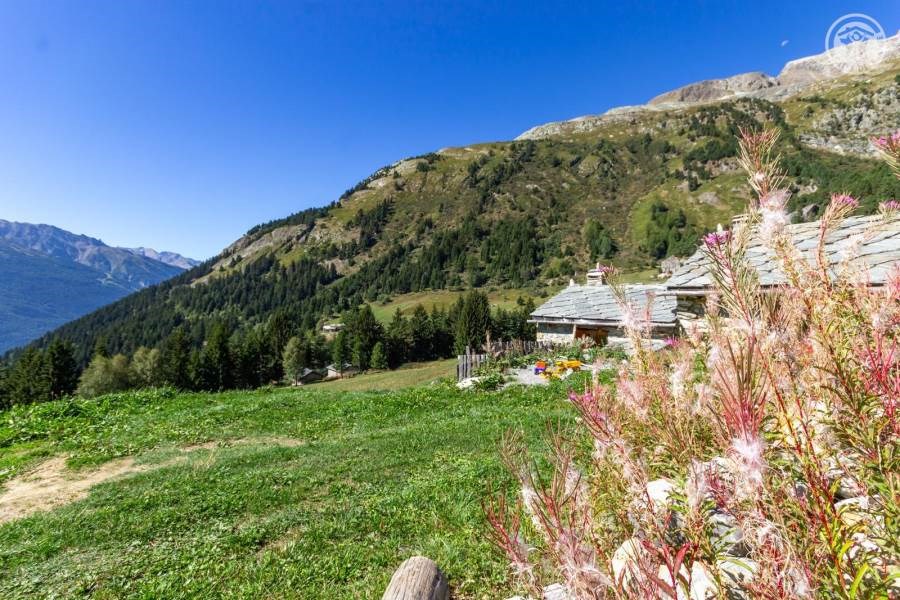 Gîtes de France N°73G23556 (Chalet du Papote)