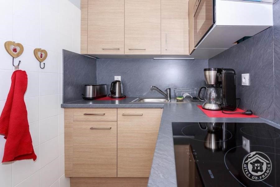 Gîtes de France N°73G26102 (MAISON DE BASILE)