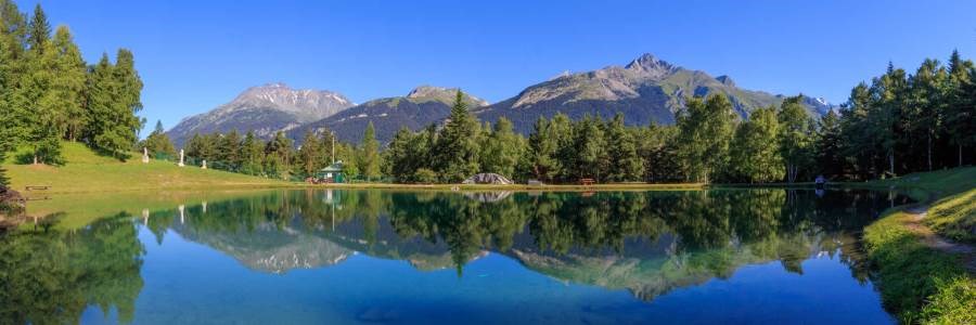 Gîtes de France N°73G26103 (LE PIN CEMBRO)