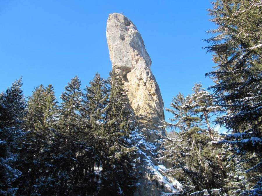 Gîtes de France N°73G287108 (LA SYMPHOROSE - LE TETRAS)