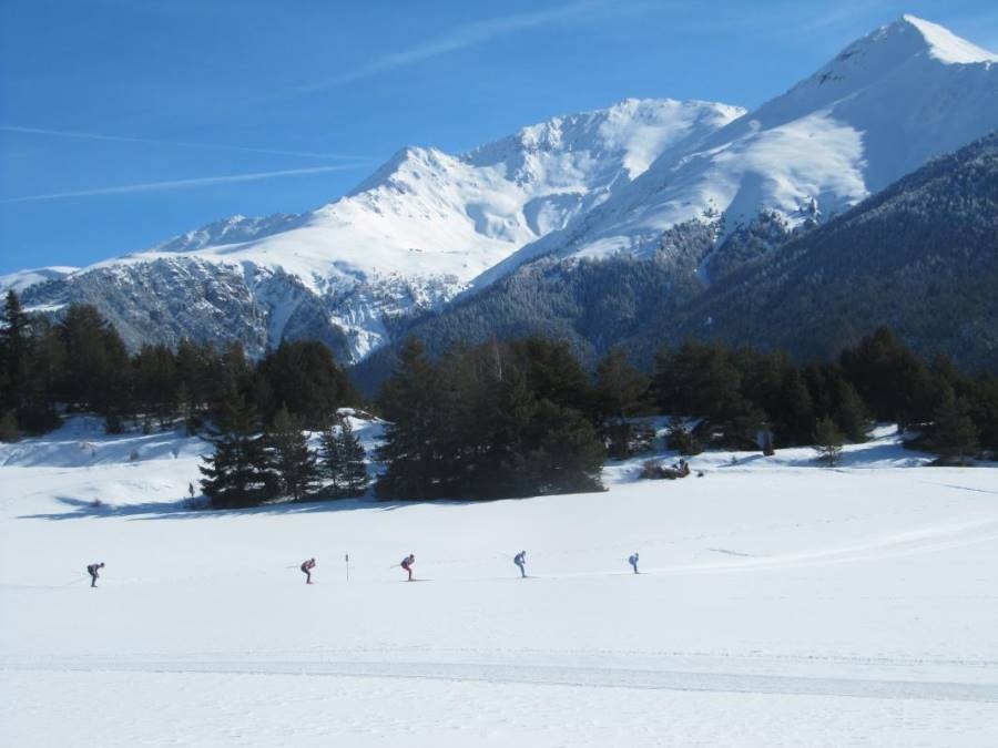Gîtes de France N°73G287108 (LA SYMPHOROSE - LE TETRAS)