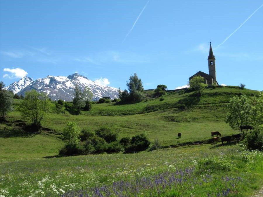 Gîtes de France N°73G287108 (LA SYMPHOROSE - LE TETRAS)