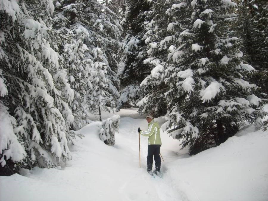 Gîtes de France N°73G287109 (LA SYMPHOROSE - LE MELEZE)