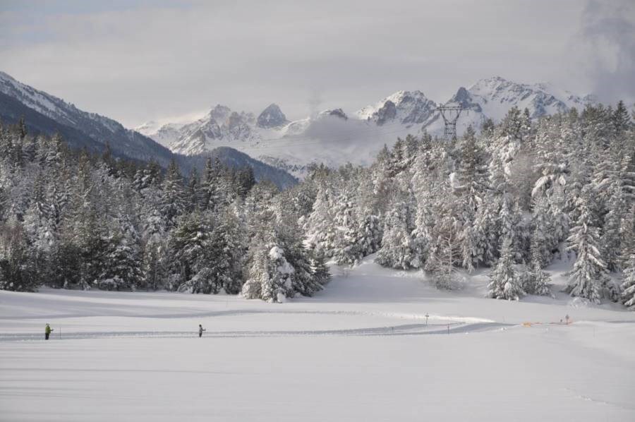 Gîtes de France N°73G287118 (L'ORCHIS VANILLÉ)