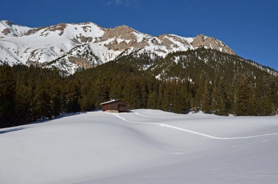 Gîtes de France N°73G287118 (L'ORCHIS VANILLÉ)