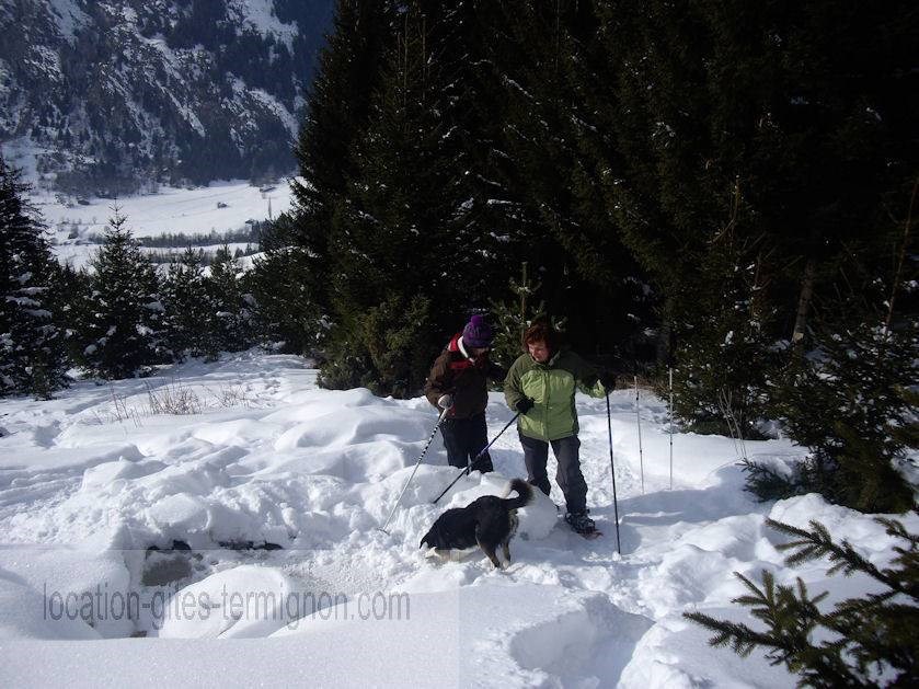 Gîtes de France N°73G290110 (LES GENTIANES)