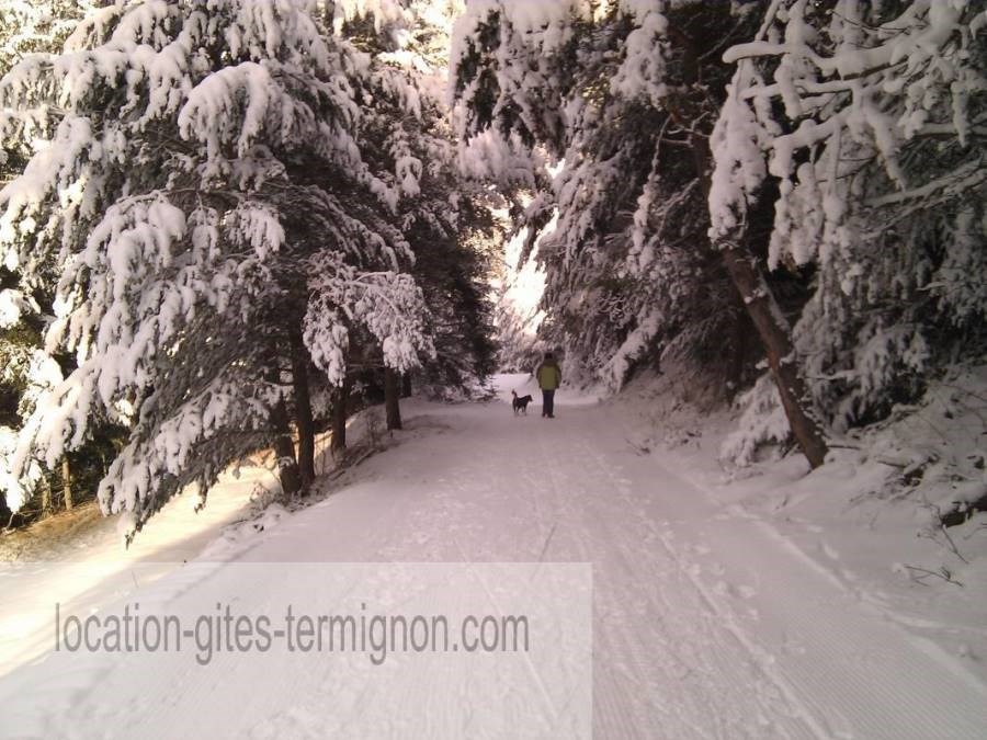 Gîtes de France N°73G290134 (LES EDELWEISS)