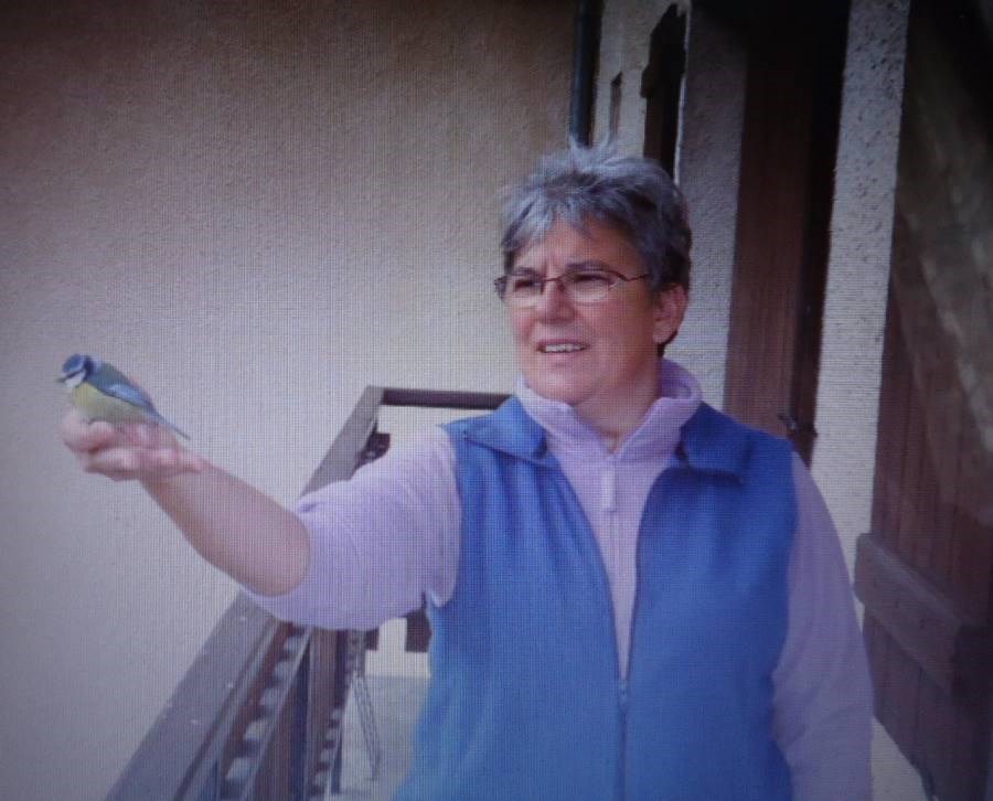 Gîtes de France N°73G290144 (AU CHALET DES VETCH - MESANGE)