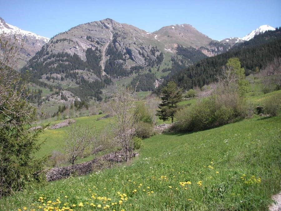 Gîtes de France N°73G290144 (AU CHALET DES VETCH - MESANGE)