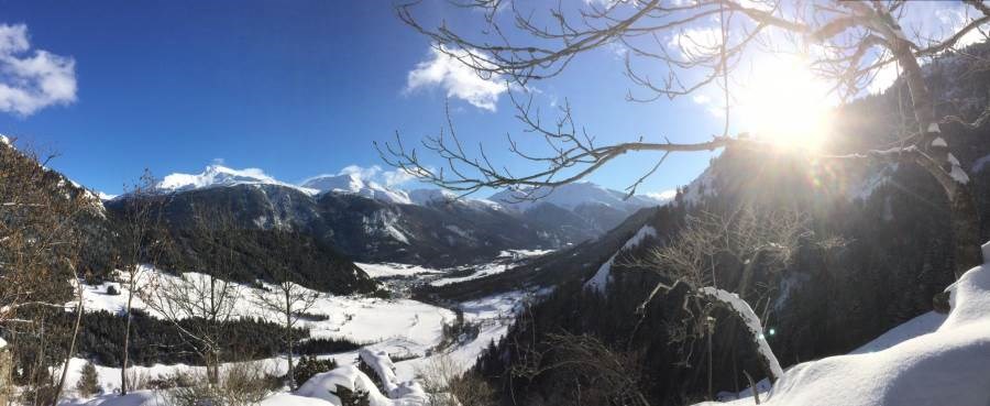 Gîtes de France N°73G290148 (LA VILLA DU DORON - LE CHARDON BLEU)