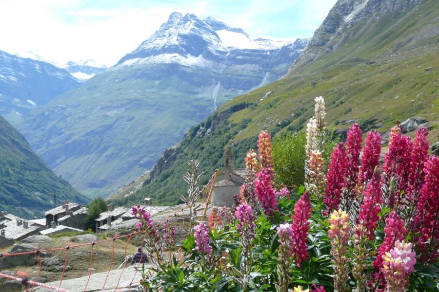 Gîtes de France N°73G290148 (LA VILLA DU DORON - LE CHARDON BLEU)