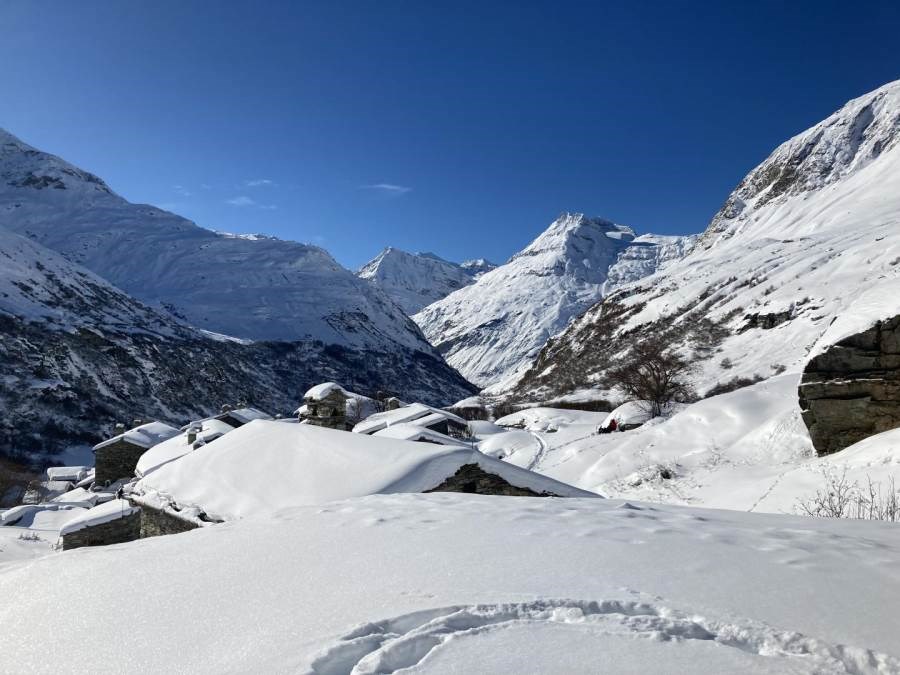 Gîtes de France N°73G290148 (LA VILLA DU DORON - LE CHARDON BLEU)