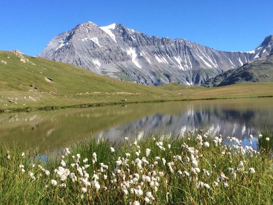 Gîtes de France N°73G290152 (LA VILLA DU DORON - LA DENT PARRACHEE)
