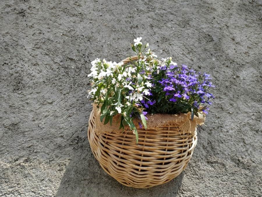 Gîtes de France N°73G290154 (LA GELINOTTE)