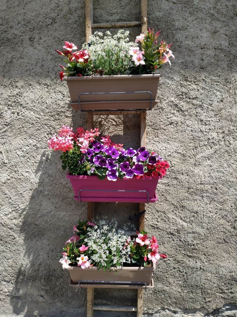 Gîtes de France N°73G290154 (LA GELINOTTE)