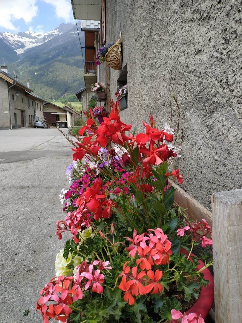 Gîtes de France N°73G290154 (LA GELINOTTE)