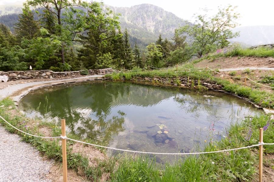 Gîtes de France N°73G290551 (LE RELAIS DE CHARLEMAGNE)