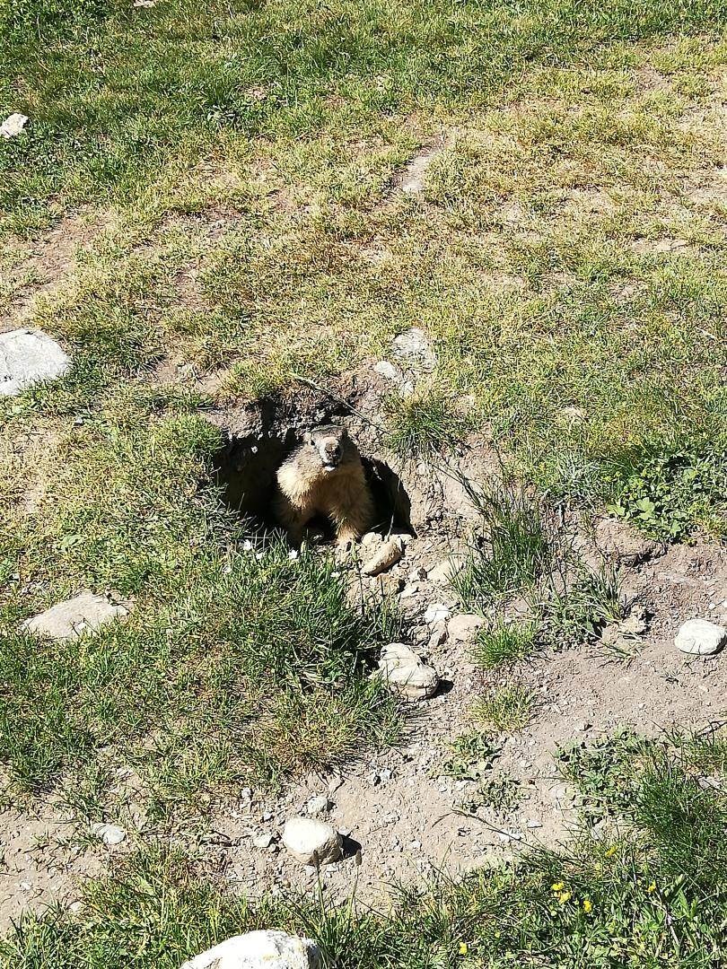 Gîtes de France N°73G290552 (LA CHIRA)