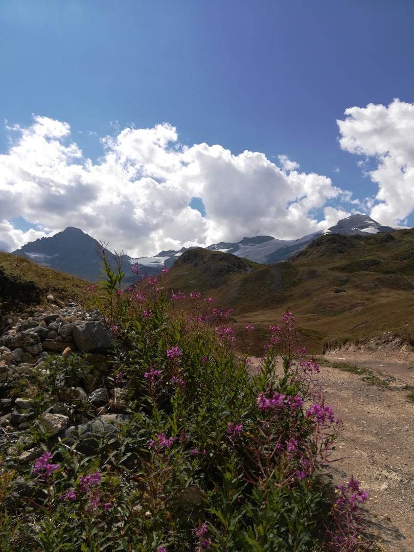 Gîtes de France N°73G290552 (LA CHIRA)