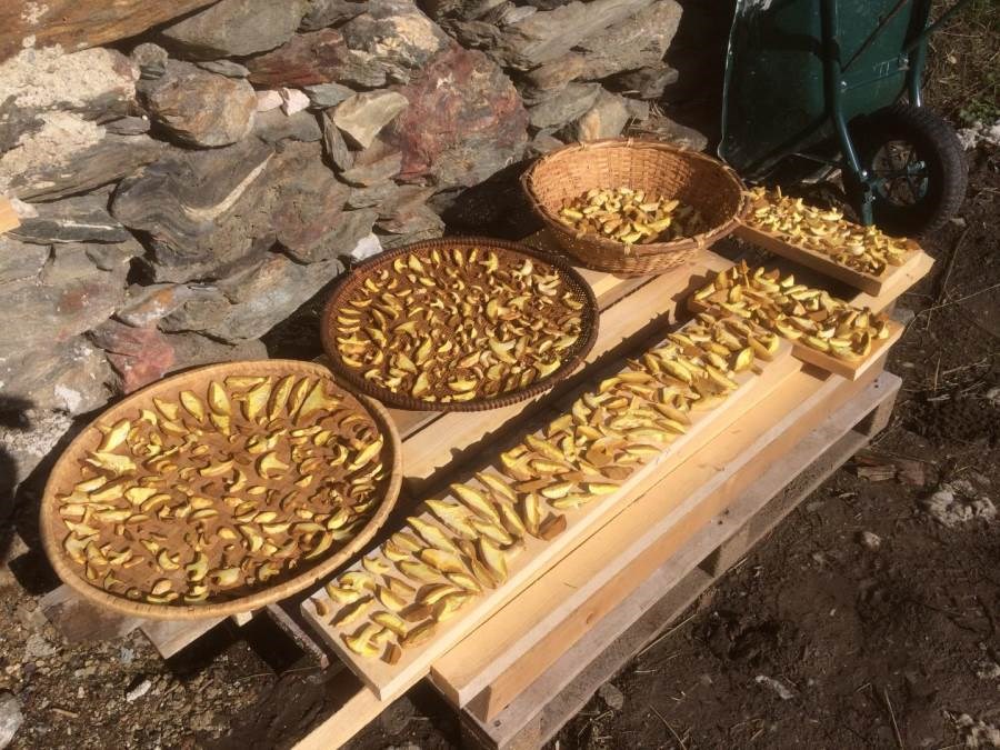 Gîtes de France N°73G290554 (LE RELAIS DE CHARLEMAGNE DUPLEX)