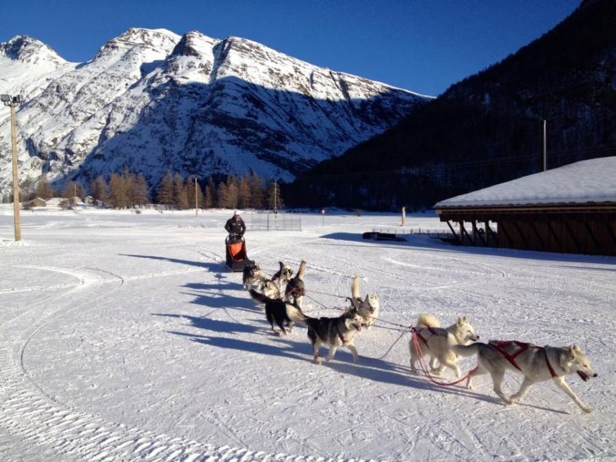 Gîtes de France N°73G40170 (L'ASTRANCE)