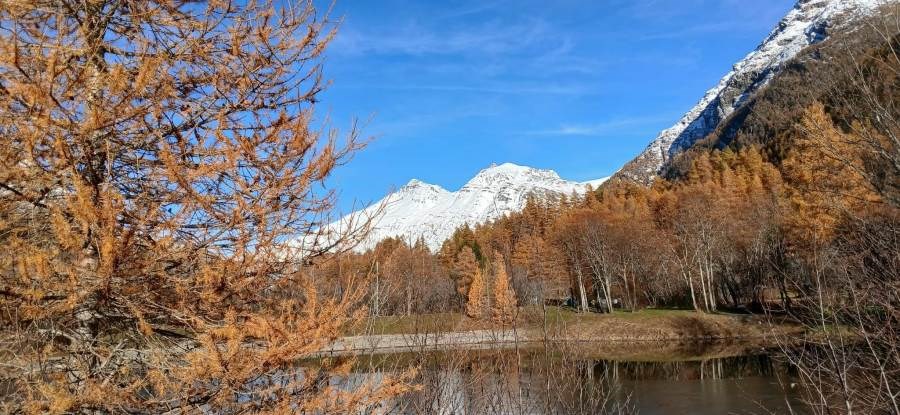 Gîtes de France N°73G40182 (L'ATTRAPE-RÊVES)