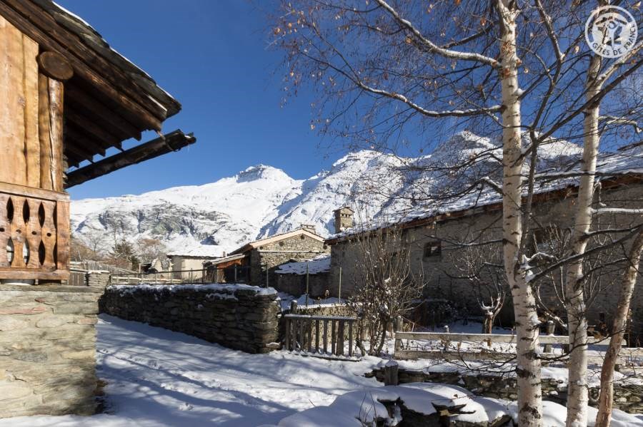 Gîtes de France N°73G40183 (Le Gypaete)