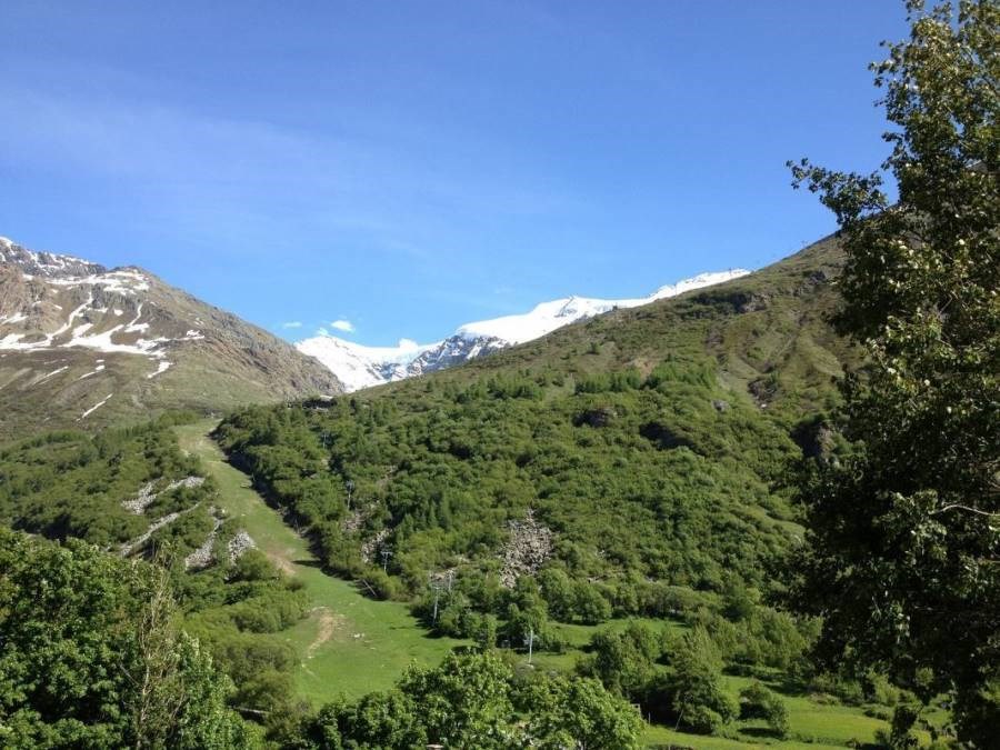 Gîtes de France N°73G47149 (CHALET LE GENEPY)