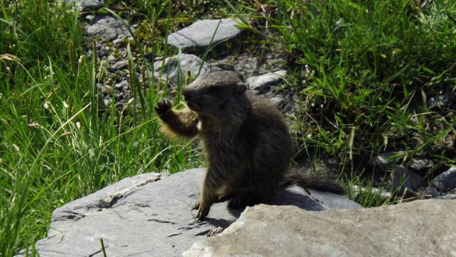 Gîtes de France N°73G47151 (L'ALBARON)