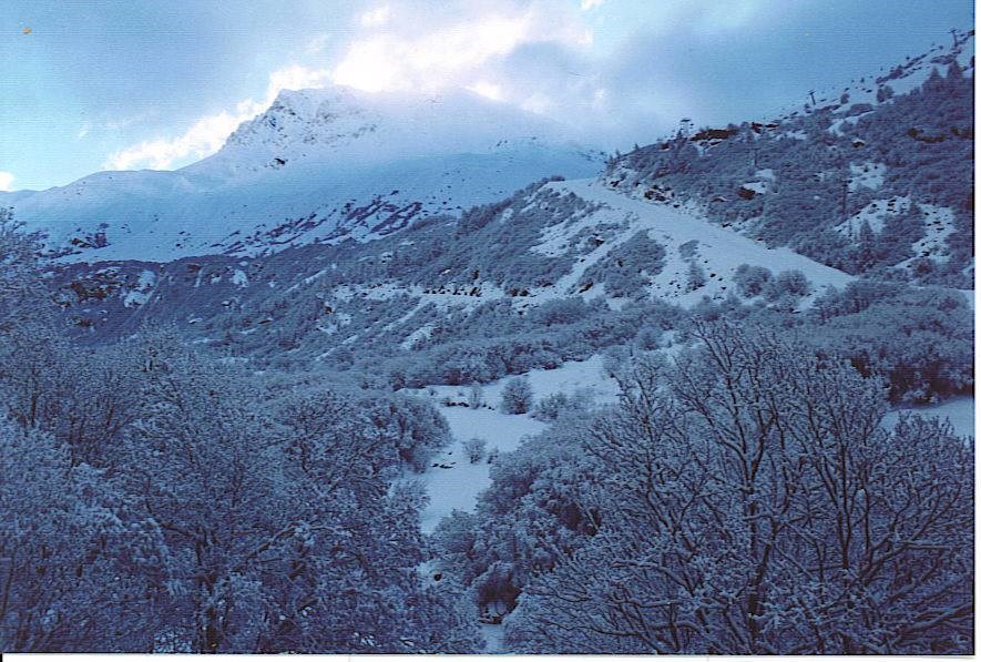 Gîtes de France N°73G47191 (CHALET LE NÉVÉ - PERCE NEIGE)
